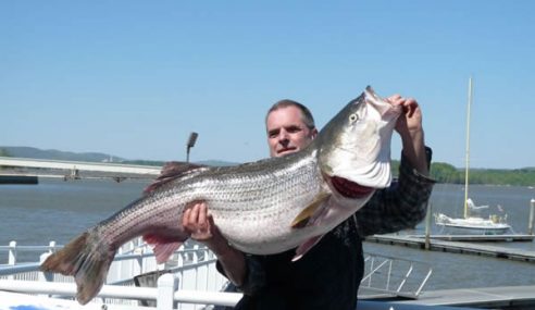 Hudson River Fishermen’s Association Striper Derby