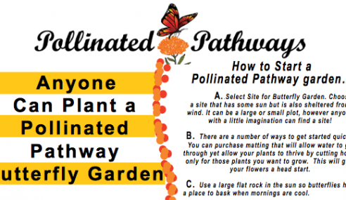 Plant a Pollinated Pathway
